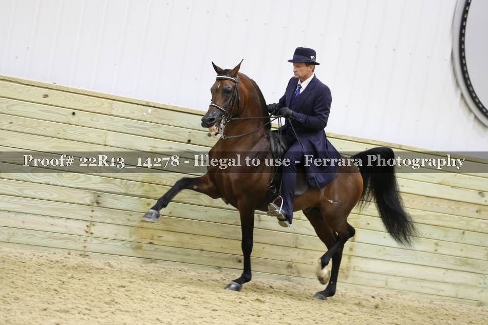 Proof 22R13_14278