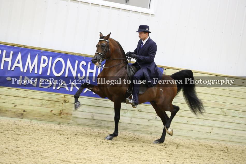 Proof 22R13_14279