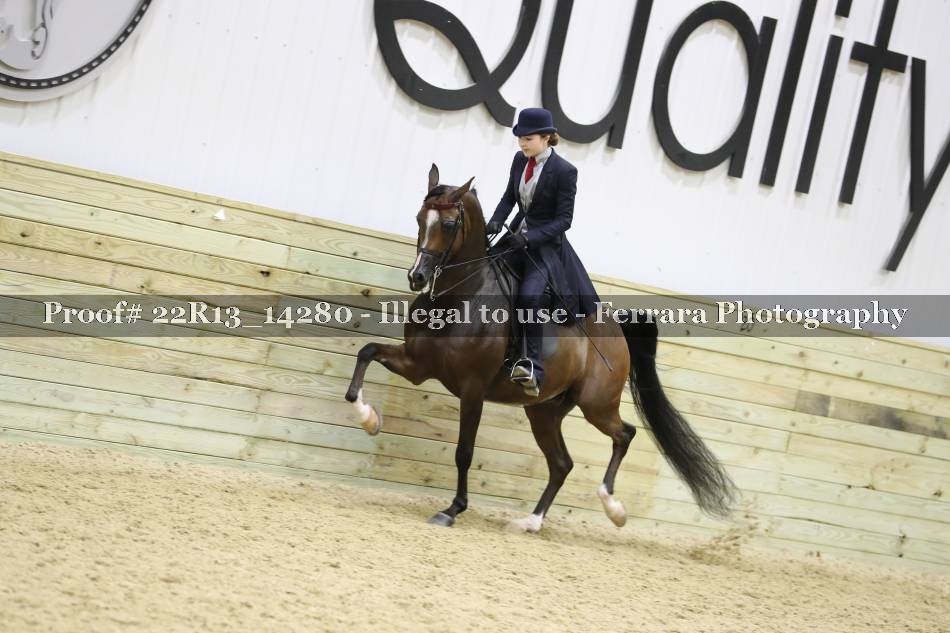 Proof 22R13_14280