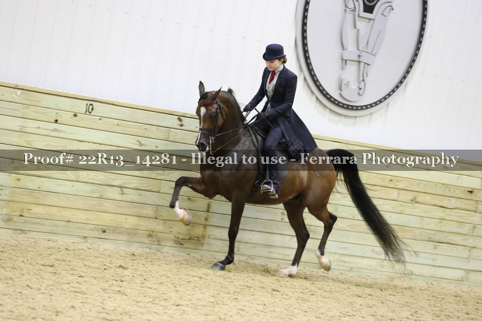 Proof 22R13_14281
