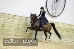 22R13_14281 proof