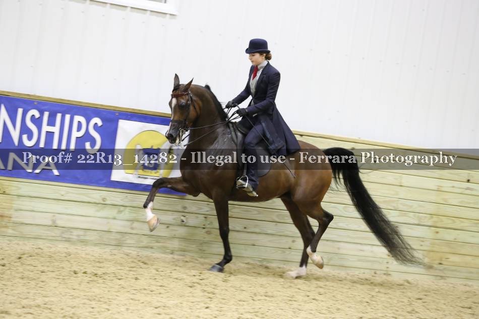 Proof 22R13_14282