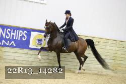 22R13_14282 proof