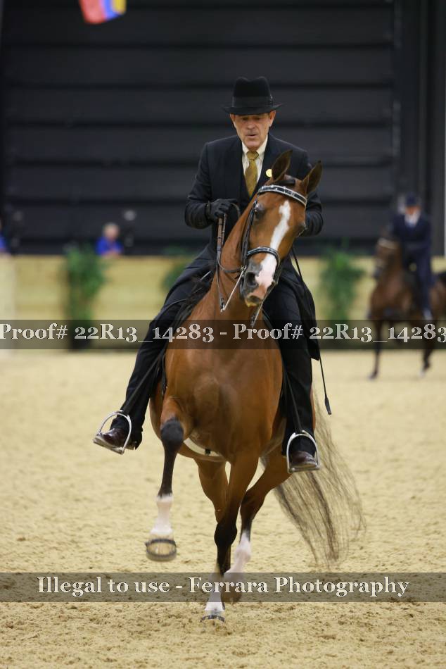 Proof 22R13_14283