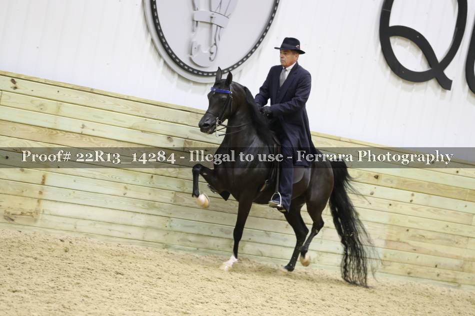 Proof 22R13_14284