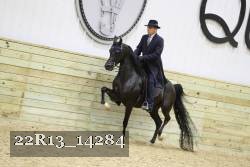 22R13_14284 proof