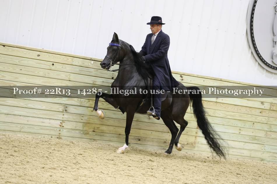 Proof 22R13_14285