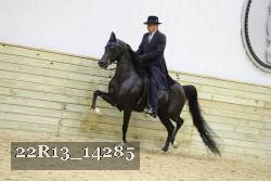 22R13_14285 proof