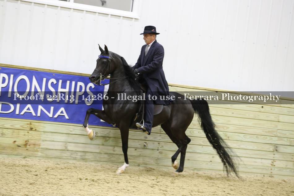 Proof 22R13_14286