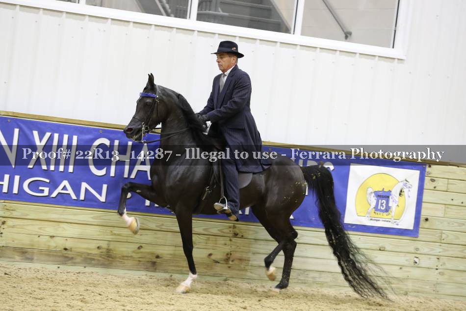 Proof 22R13_14287