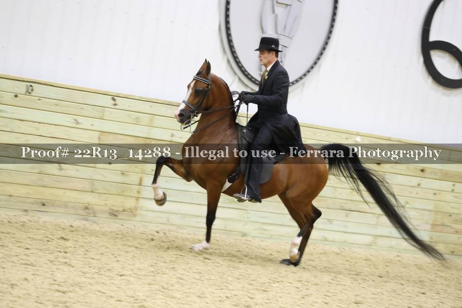 Proof 22R13_14288