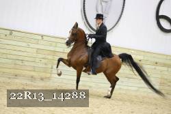 22R13_14288 proof