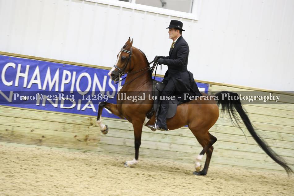 Proof 22R13_14289
