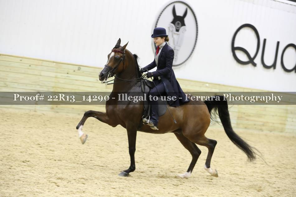 Proof 22R13_14290