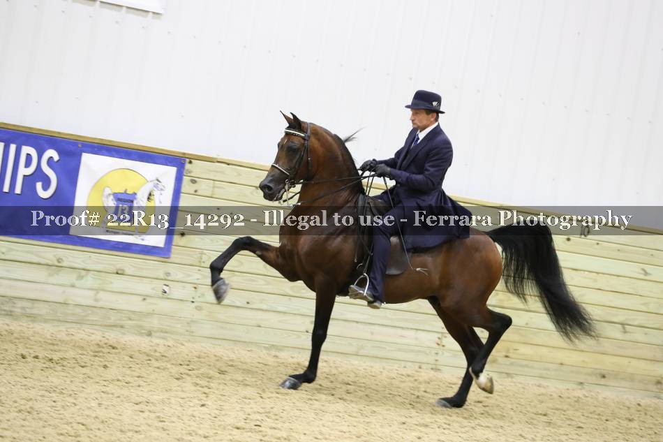 Proof 22R13_14292