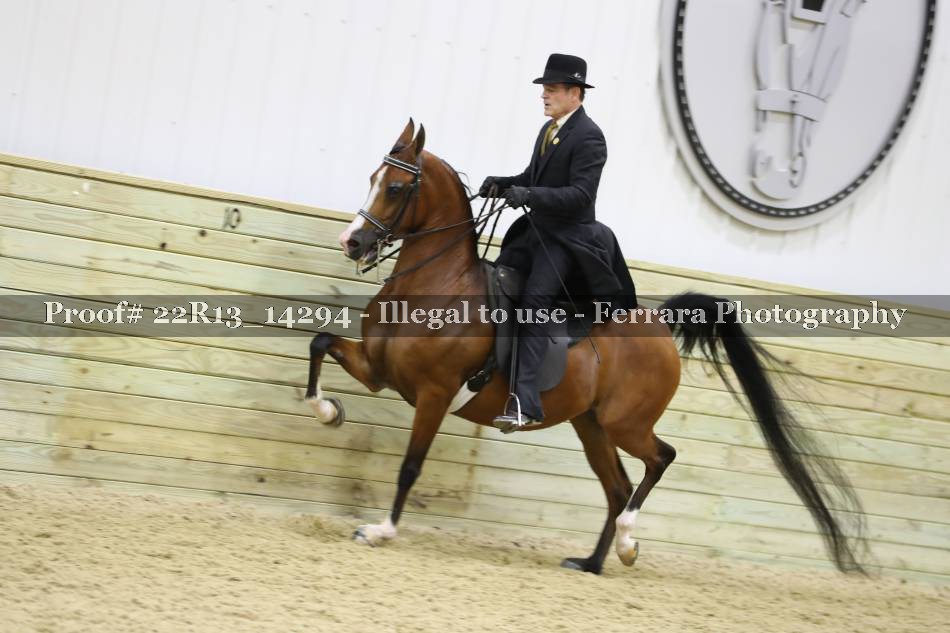 Proof 22R13_14294