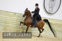 22R13_14294 proof