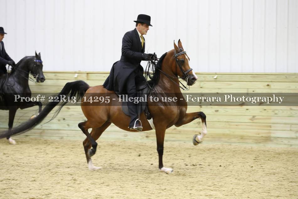 Proof 22R13_14295