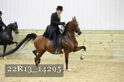 22R13_14295 proof