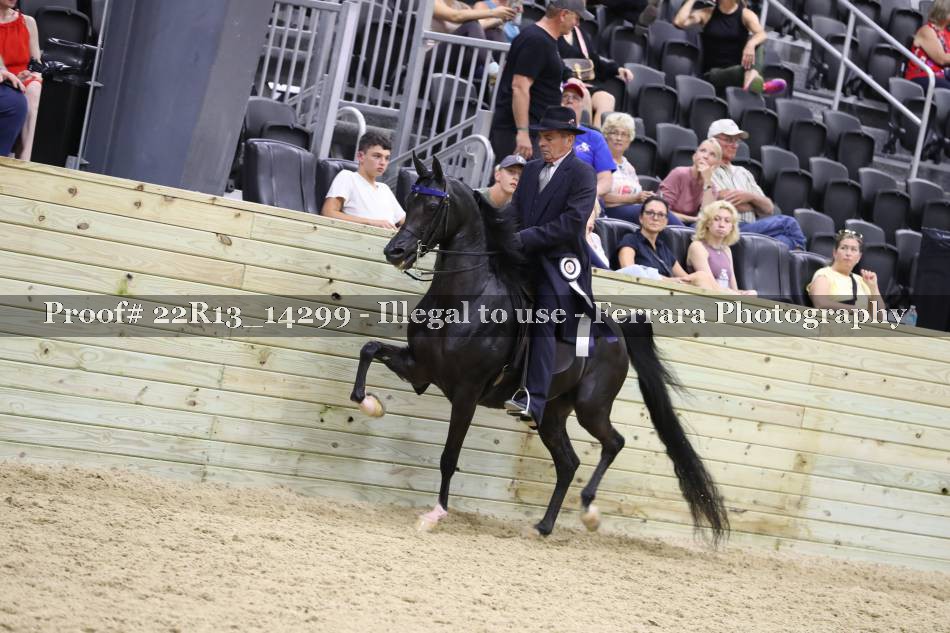 Proof 22R13_14299