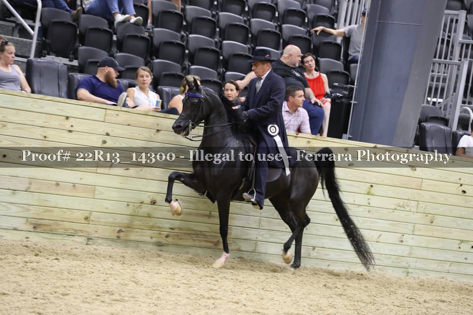 Proof 22R13_14300