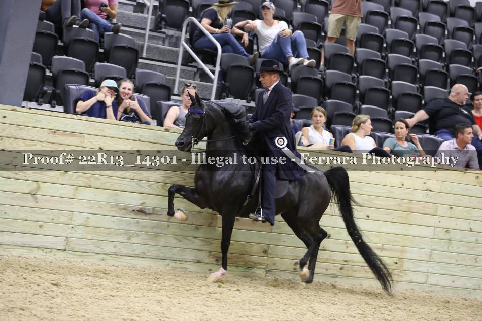 Proof 22R13_14301