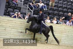 22R13_14301 proof