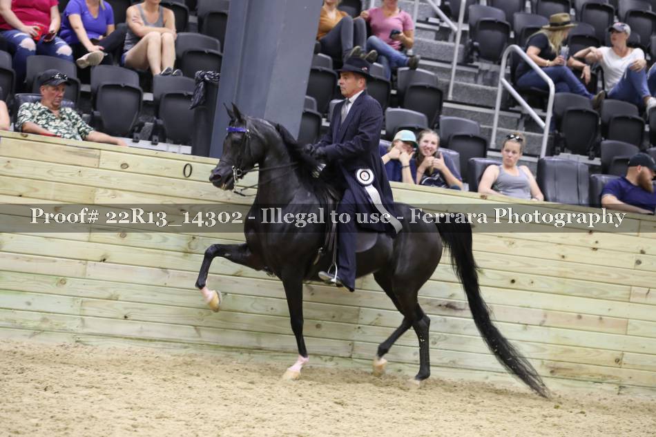 Proof 22R13_14302