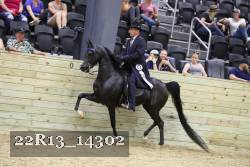 22R13_14302 proof
