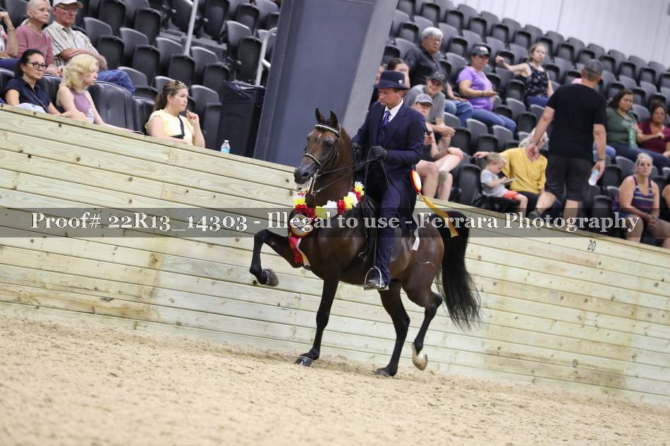 Proof 22R13_14303