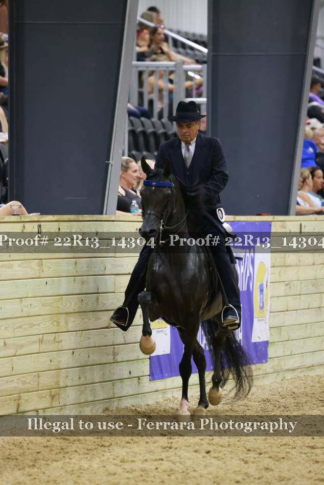 Proof 22R13_14304