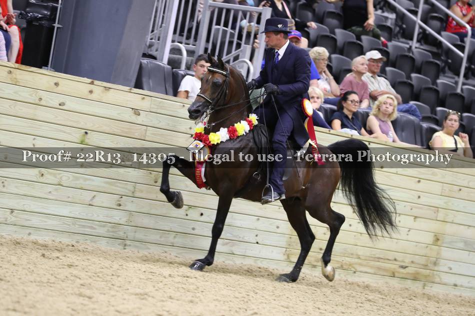 Proof 22R13_14305