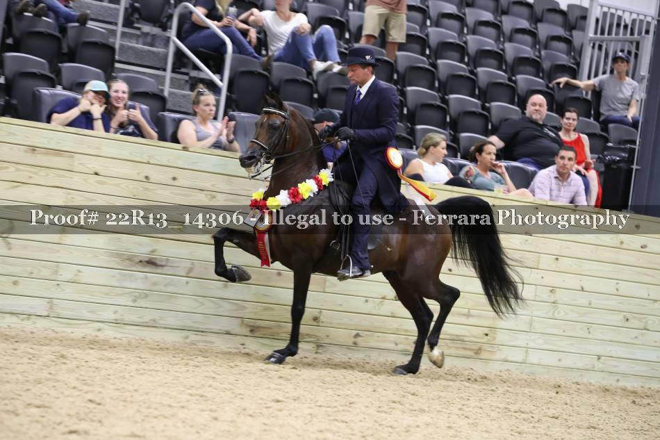 Proof 22R13_14306
