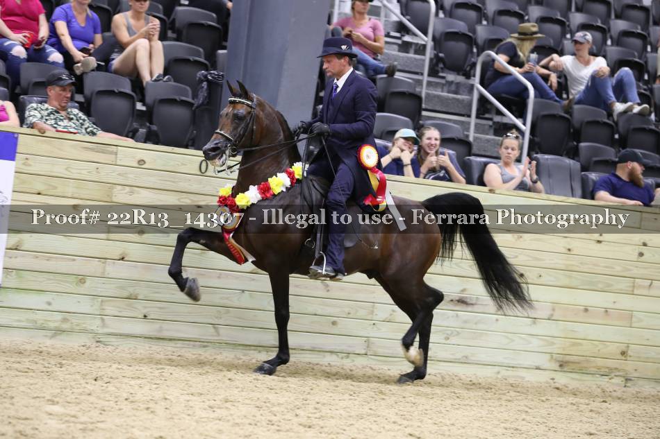 Proof 22R13_14307