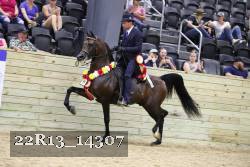 22R13_14307 proof