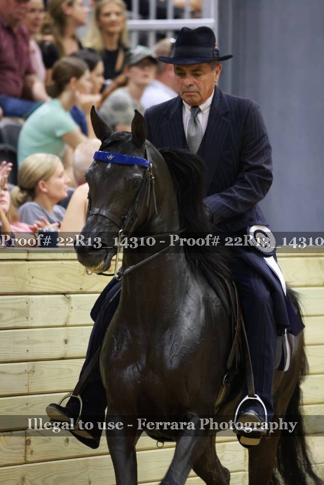 Proof 22R13_14310