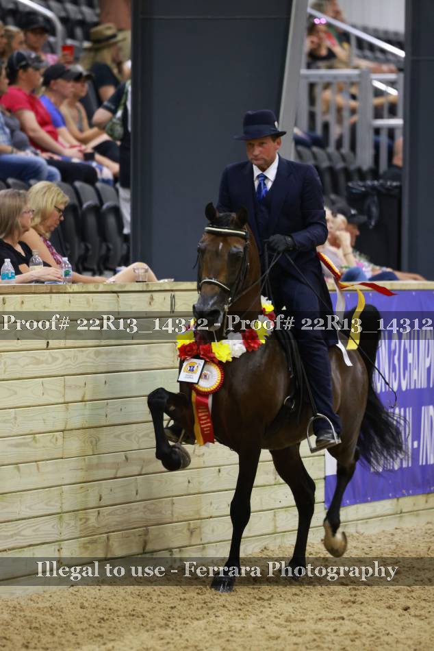 Proof 22R13_14312