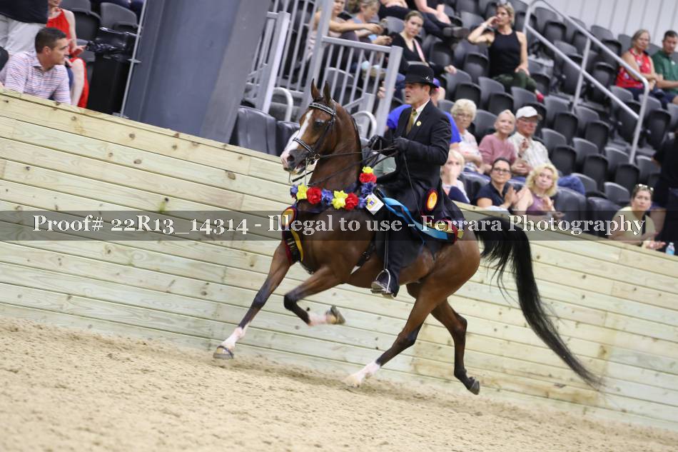 Proof 22R13_14314