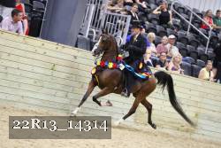 22R13_14314 proof