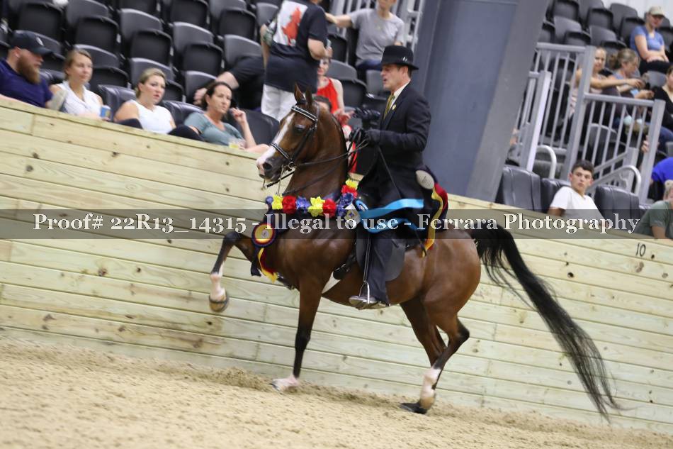 Proof 22R13_14315
