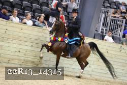 22R13_14315 proof