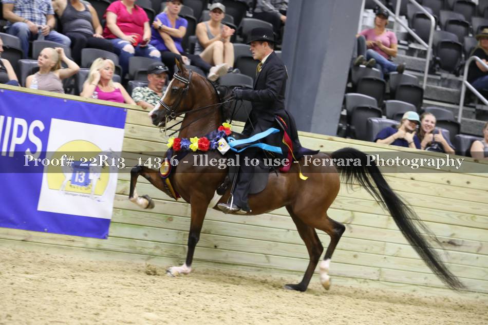 Proof 22R13_14316
