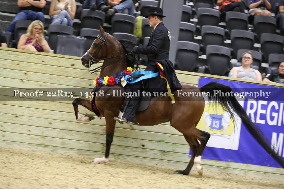 Proof 22R13_14318