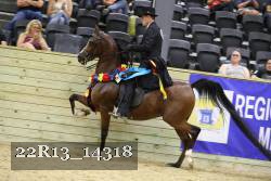 22R13_14318 proof