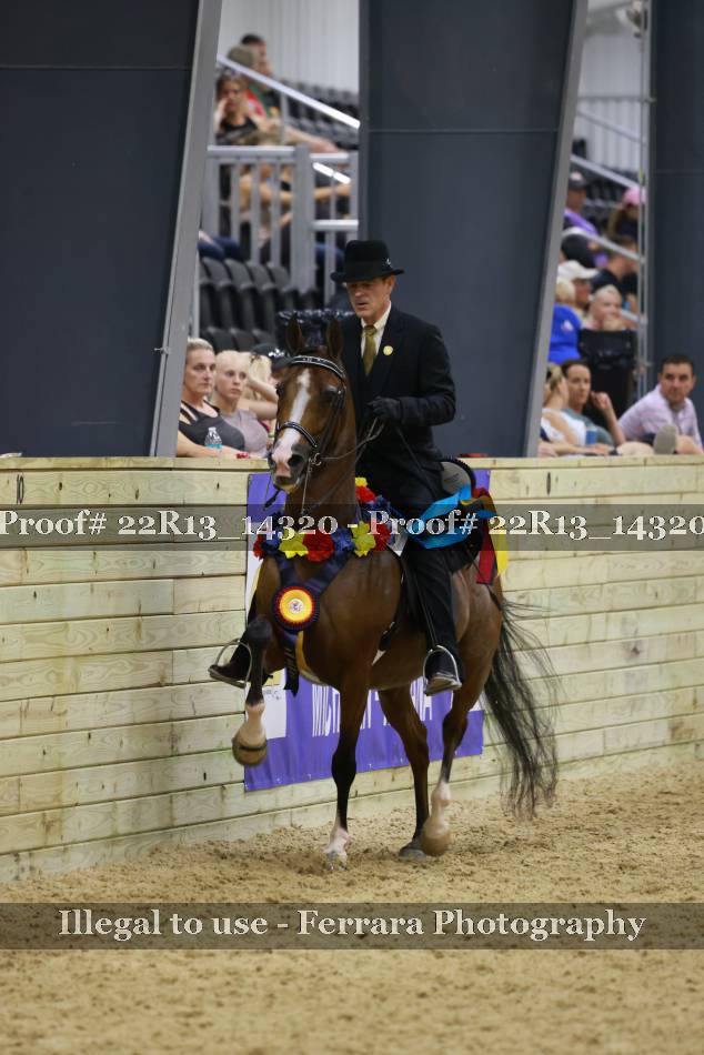 Proof 22R13_14320