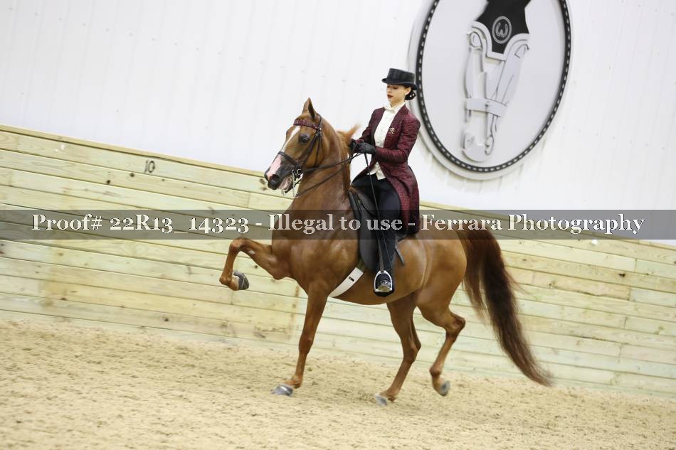 Proof 22R13_14323