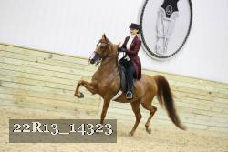 22R13_14323 proof