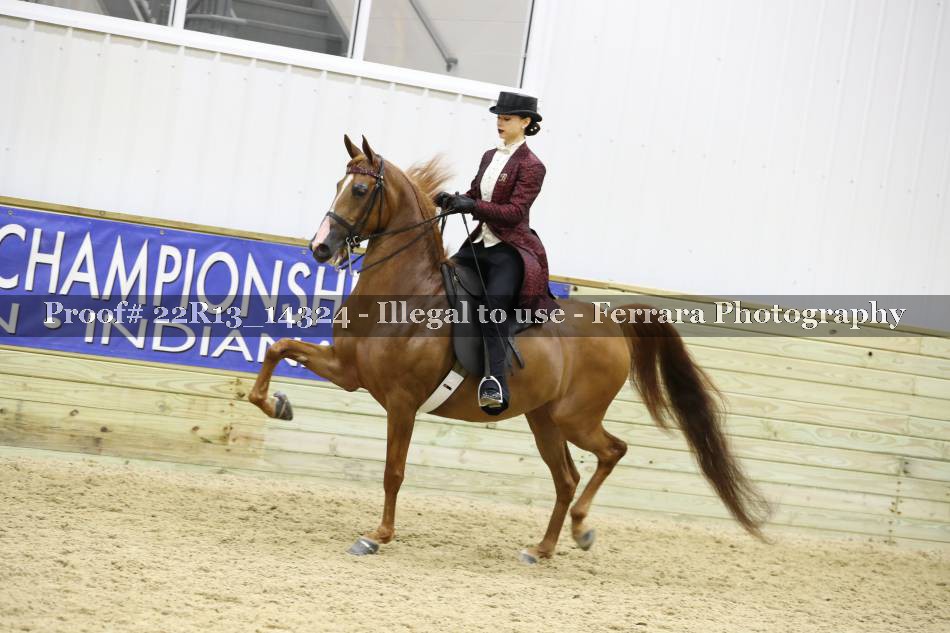 Proof 22R13_14324
