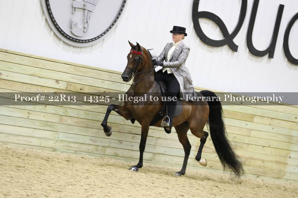 Proof 22R13_14325