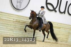 22R13_14325 proof